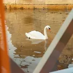 船屋 Sleepboat - Cozy Modern Houseboat In *