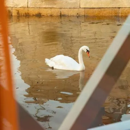 Botel Sleepboat- Modern Houseboat In Porto *