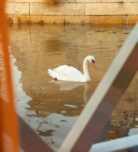보트호텔 Sleepboat- Modern Houseboat In Porto *